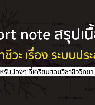 Short note วิชาชีววิทยา เรื่อง ระบบประสาท สำหรับทบทวนเตรียมสอบ